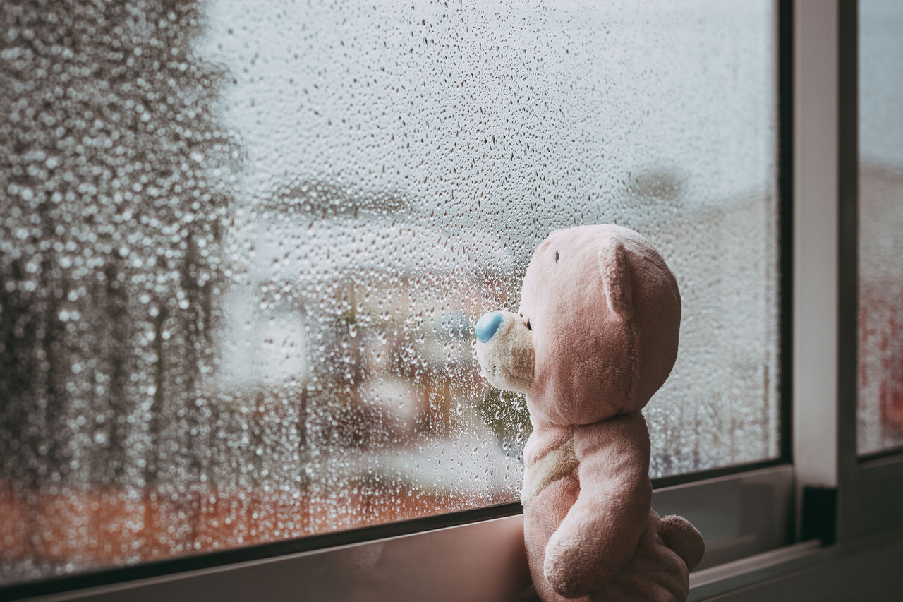 A toy pink sad bear is looking out the window and missing. Autumn rainy day. Raindrops on the window,A toy pink sad bear is looking out the window and missing. Autum